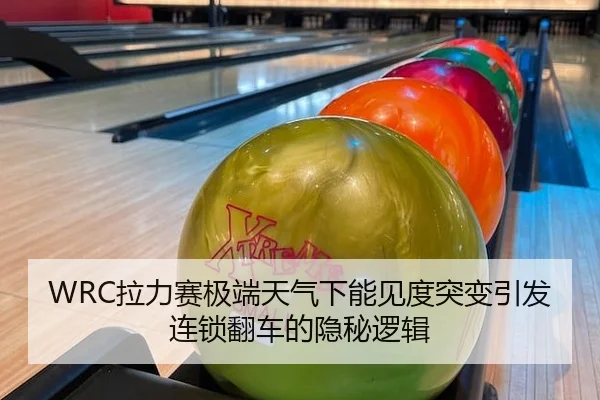 WRC拉力赛极端天气下能见度突变引发连锁翻车的隐秘逻辑